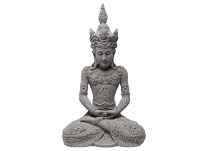 Lotosa pozā sēdošs Budda Kare 37331